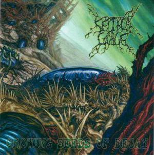 Growing Seeds Of Decay cover art